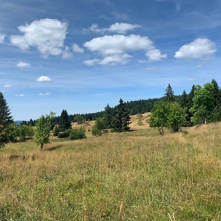 Ubytovani U Mateje Horní Blatná Buitenkant foto