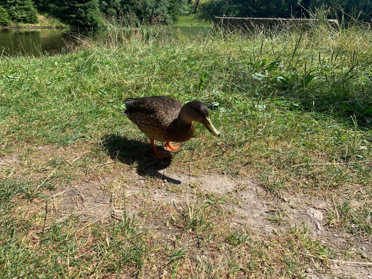 Ubytovani U Mateje Horní Blatná Buitenkant foto