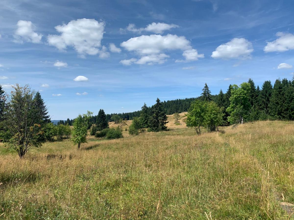 Ubytovani U Mateje Horní Blatná Buitenkant foto