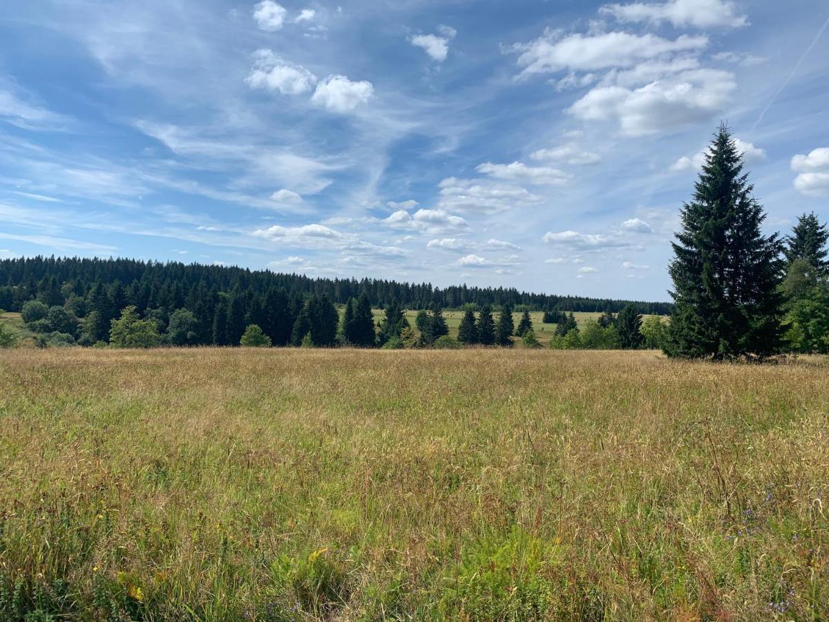 Ubytovani U Mateje Horní Blatná Buitenkant foto