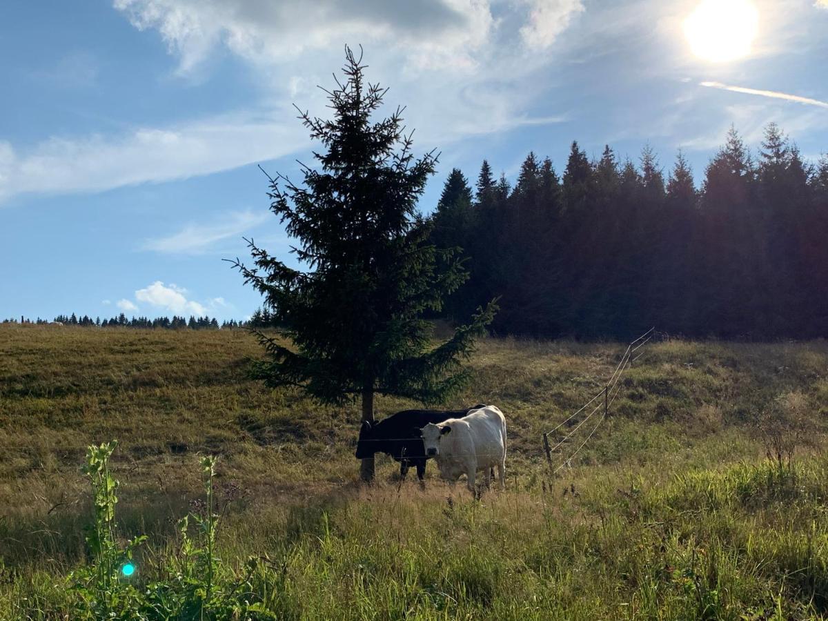 Ubytovani U Mateje Horní Blatná Buitenkant foto