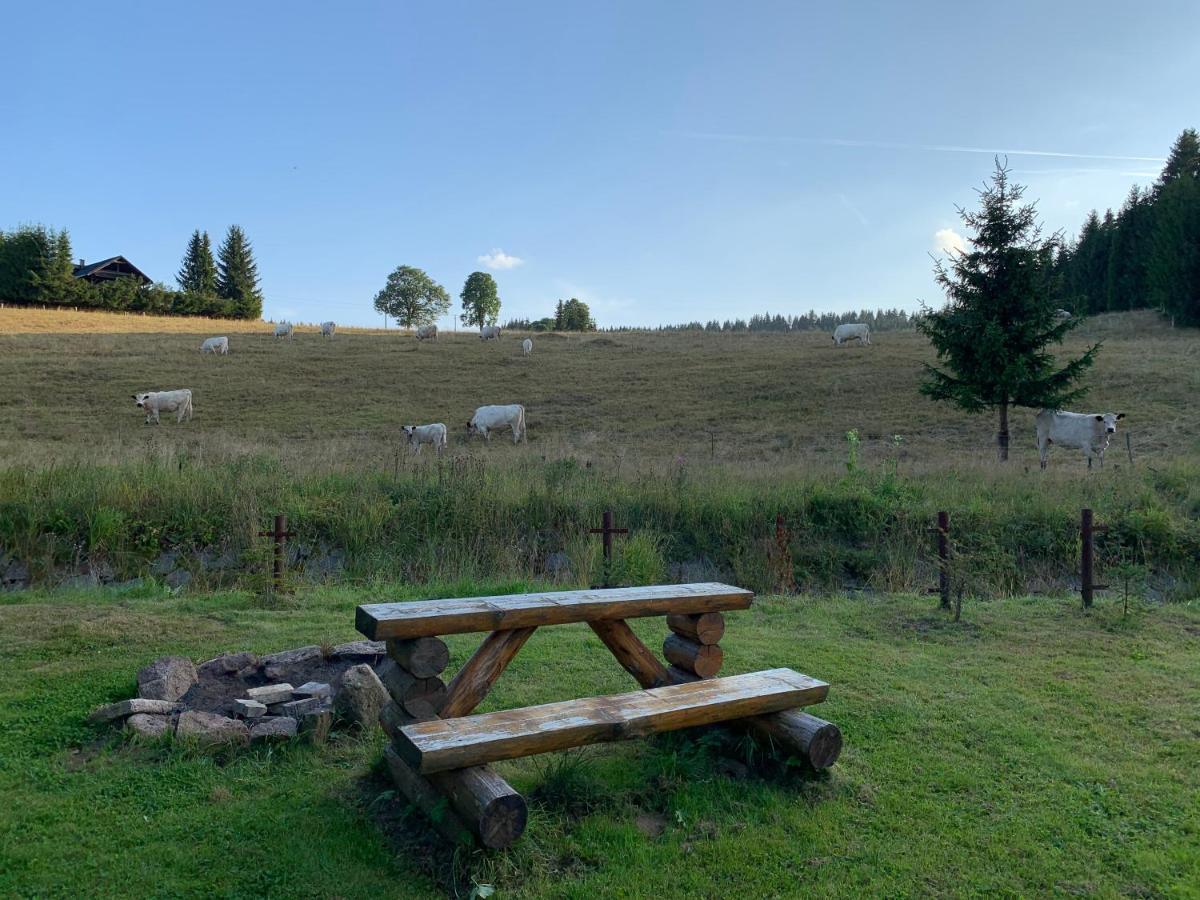 Ubytovani U Mateje Horní Blatná Buitenkant foto